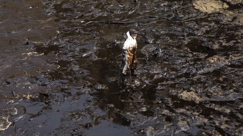 Lo que no hizo Repsol: cinco filmes para aprender a respetar el océano y la vida marina