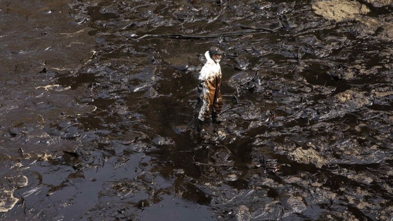 Lo que no hizo Repsol: cinco filmes para aprender a respetar el océano y la vida marina