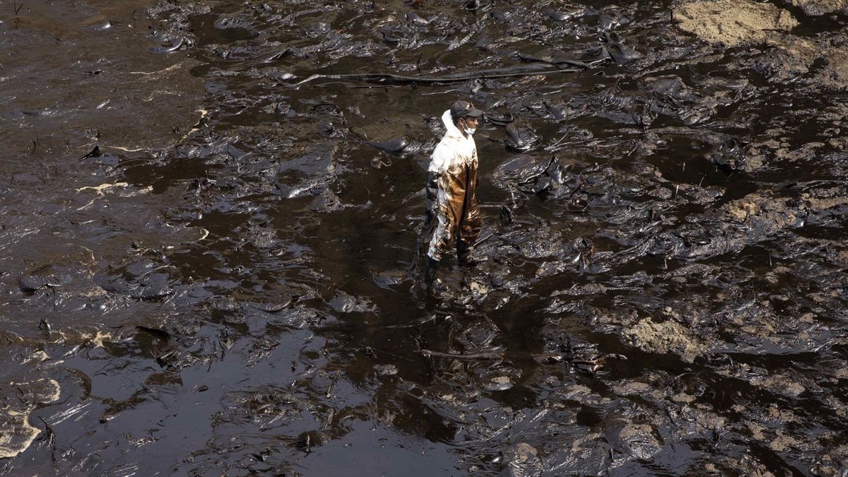 Lo que no hizo Repsol: cinco filmes para aprender a respetar el océano y la vida marina