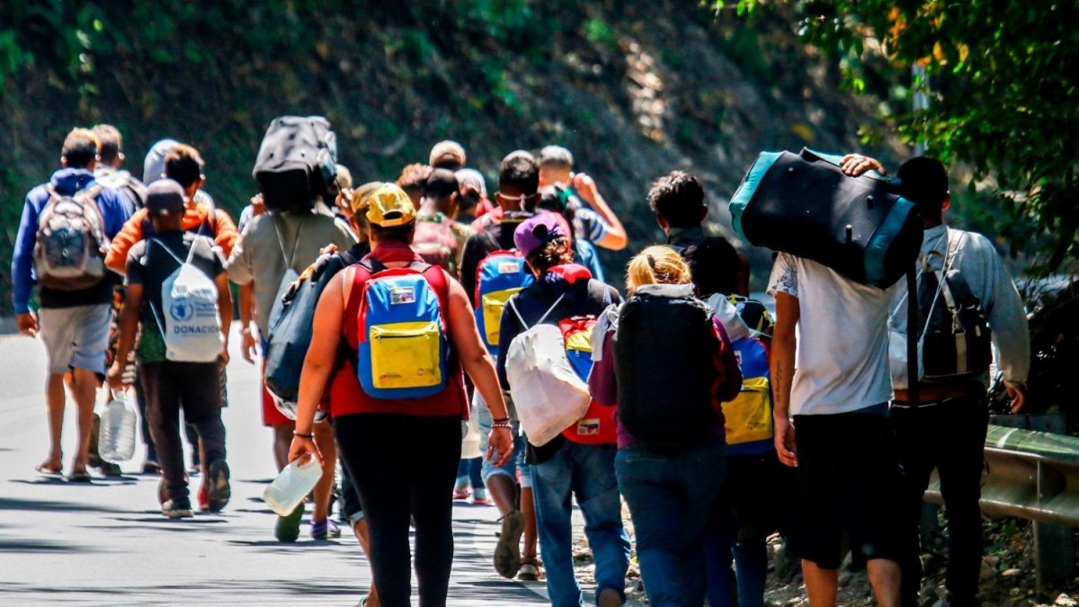 Premio Internacional: Sentencia del TC, protección de los derechos fundamentales de los migrantes